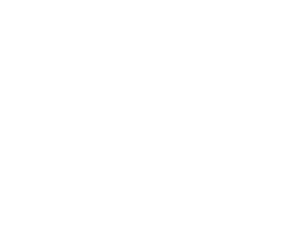 Steam Boys